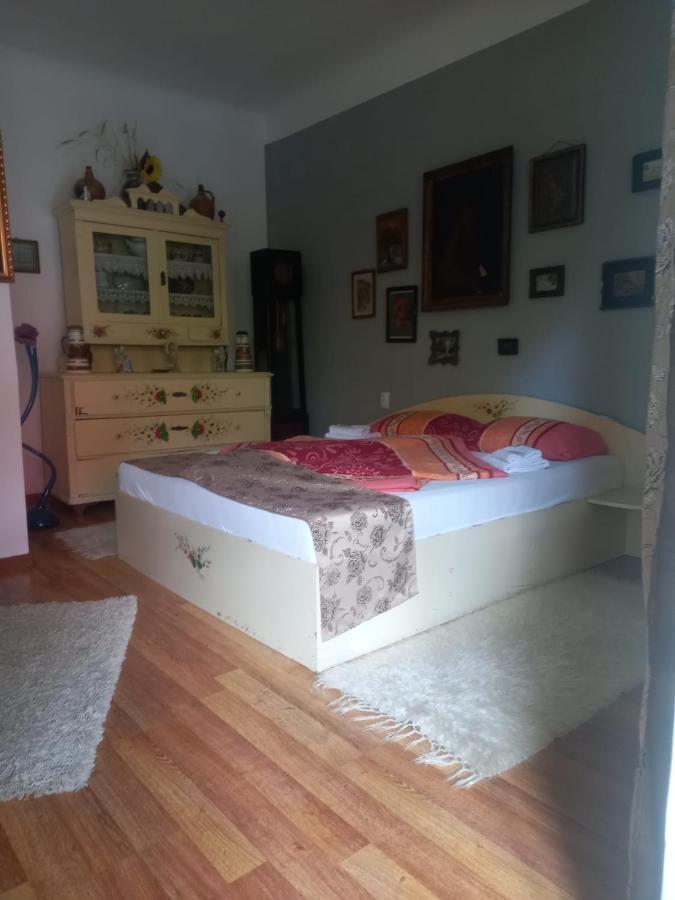 Casa Elena Apartment Sighisoara Ngoại thất bức ảnh