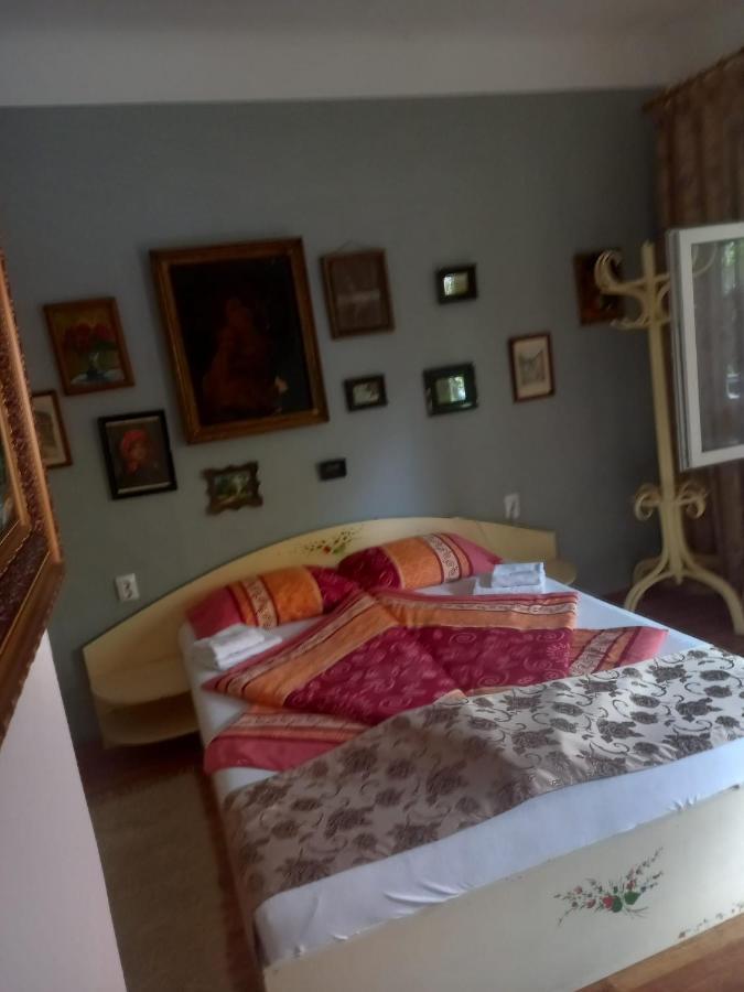 Casa Elena Apartment Sighisoara Ngoại thất bức ảnh