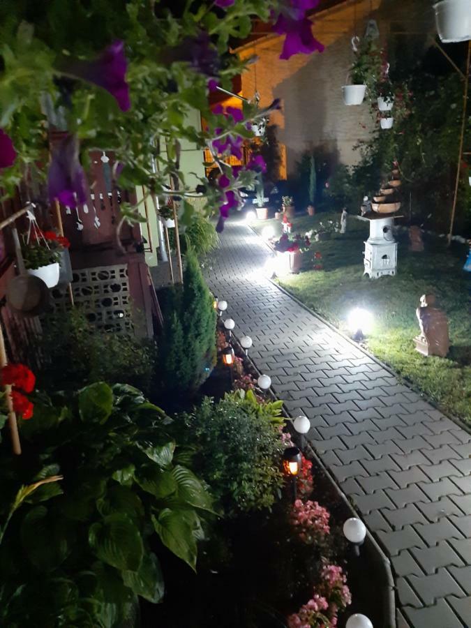 Casa Elena Apartment Sighisoara Ngoại thất bức ảnh